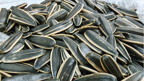 湖北发布地方标准规范散装食品销售作业与洗涤用品管理